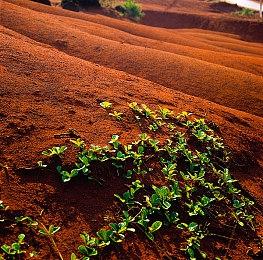 电影导演确认《灵媒》团队正在开发《寂静岭2重制版》